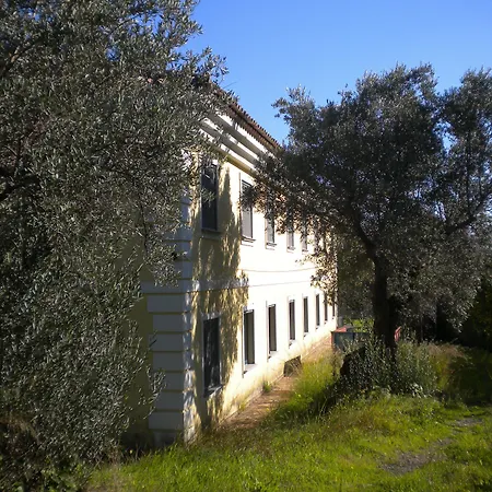 Tenuta Castellesi *